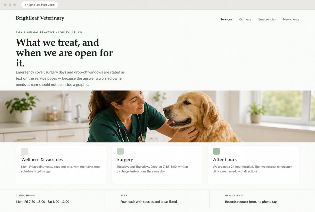 Design mockup of a veterinary website with a veterinarian examining a golden retriever, the headline “What we treat, and when we are open for it”, and visible service and clinic-hour details.